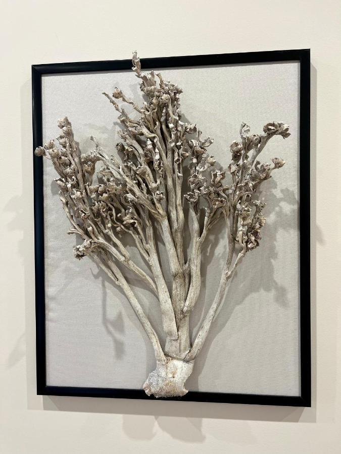 Apartamenty Kamienica Arte 4 Устка Екстериор снимка
